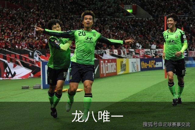 龙八唯一 公司简介